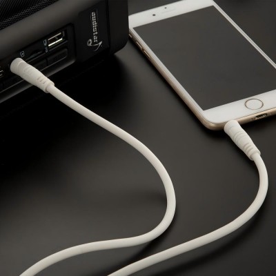 Audio Cable